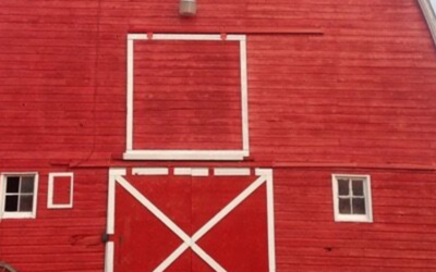 Benefits of Hiring Professional Painters vs. DIY