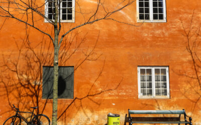 Modern Wall Finishes That Go Beyond Paint and Drywall: A Look at Trendy Textures in Edmonton Homes