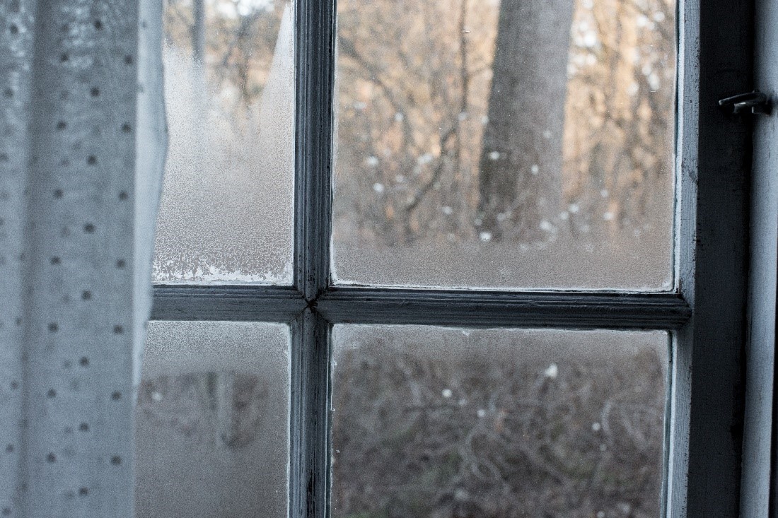 frosted window frosted window